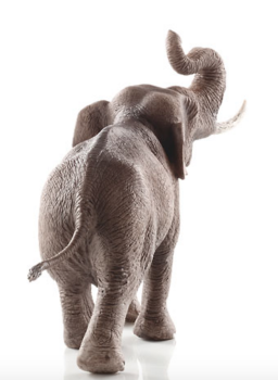 Preview: ELEFANTENBULLE - ASIATISCH